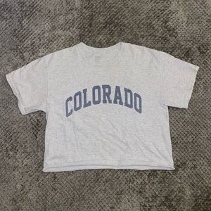 Brandy Melville Crop Top